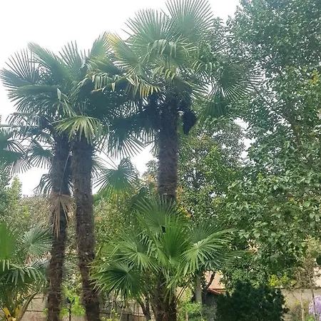 Residenza I Marchesi Konukevi